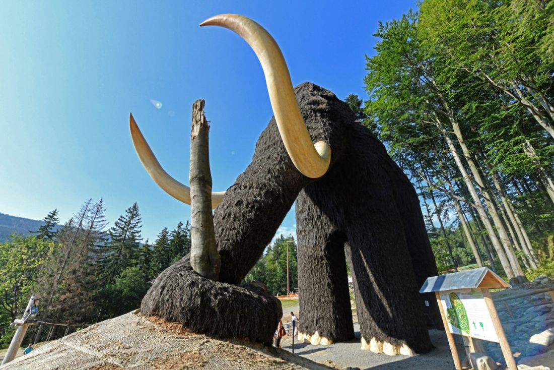 obri-mamut-1.jpg